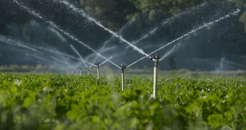 Inground Irrigation Service in Aiken, SC