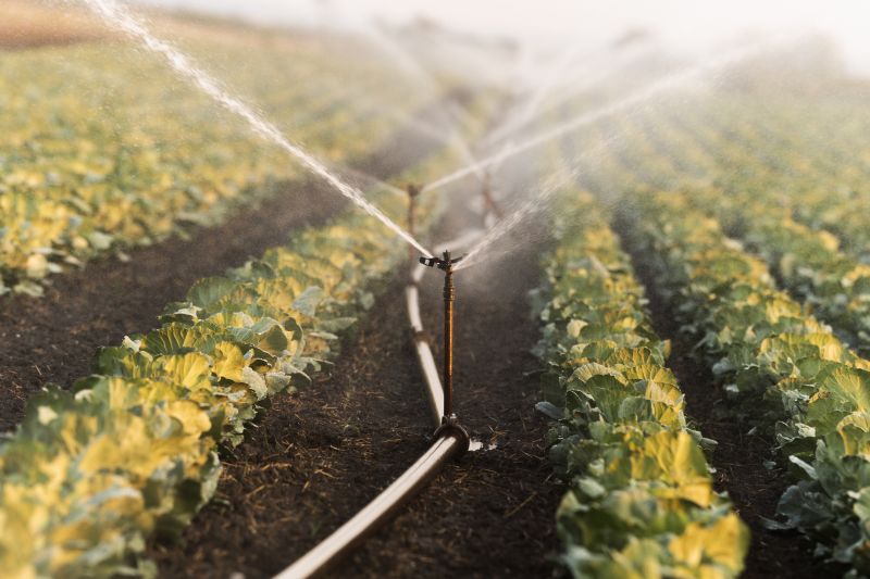 Mist Irrigation Installation in Honolulu, HI